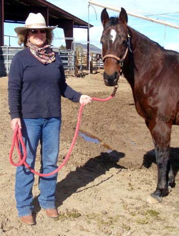 Amanda, Quarter Horse