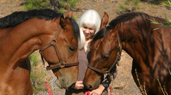 Susan with two horses