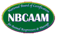 NBCAAM