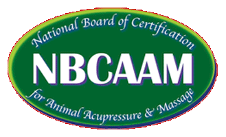 NBCAAM