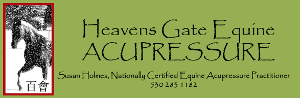 Heavens Gate Equine Acupressure