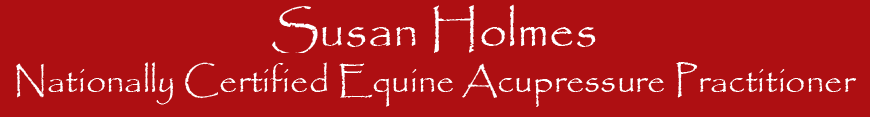 Equine Susan Holmes Certified Equine Acupressure Practitioner